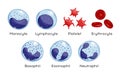 Vector set of Monocyte, Lymphocyte, Eosinophil, Neutrophil, Basophil, Platelet, Erythrocytes. Types of blood cells.